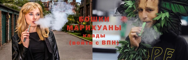 дживик Липки