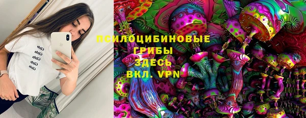 a pvp Алзамай