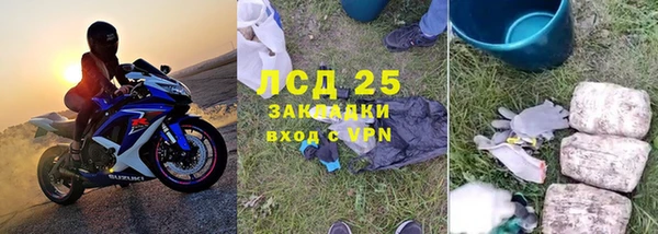 прущие грибы Алексин
