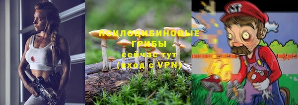 прущие грибы Алексин
