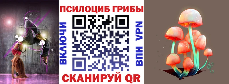 shop клад  даркнет сайт  Краснодар  Псилоцибиновые грибы ЛСД 